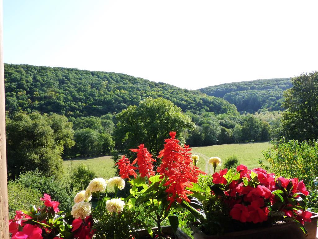 La Maison De Cure Hotel Domecy-sur-Cure Eksteriør billede
